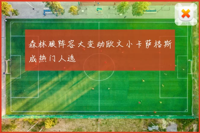 森林狼阵容大变动欧文小卡萨格斯成热门人选